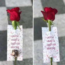 تاق "تدللي"